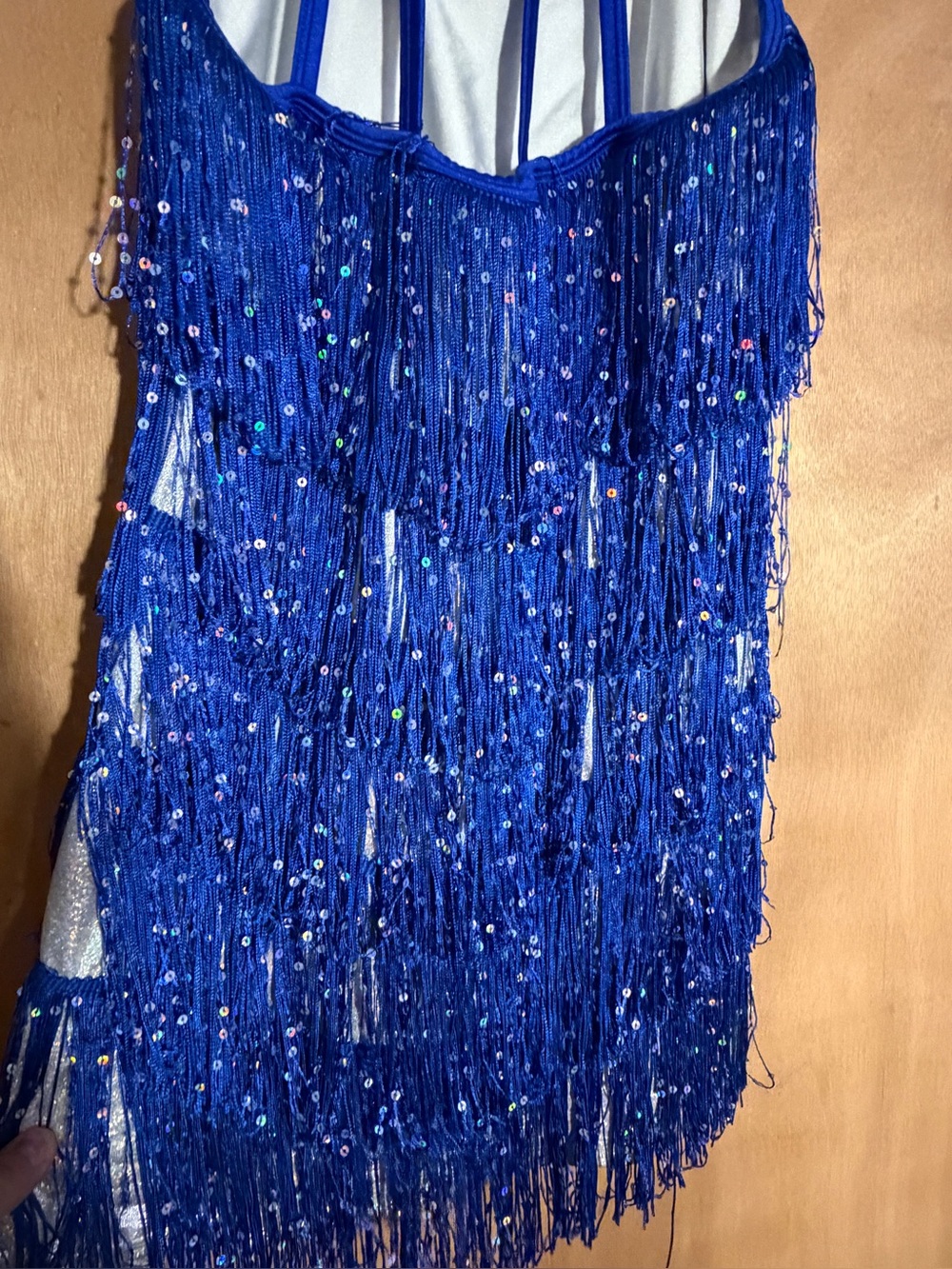 Woman’s Blue Sequin Fringe Dress